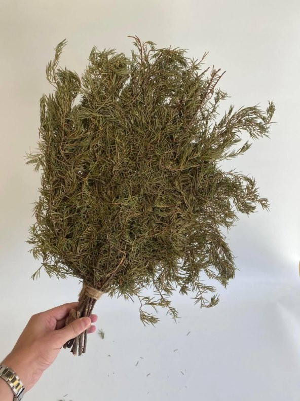 Köknar Banyo ve Sauna Süpürgesi - Organik Köknar Süpürge - 8