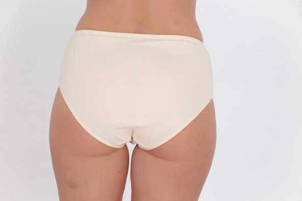 Ön Kısmı Desenli Kadın Günlük Külot Ten - Resim 3