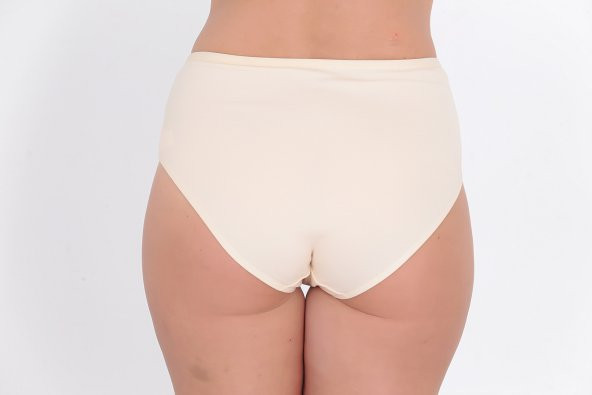 Dantel Detaylı Günlük Kadın Külot Ten - Resim 3