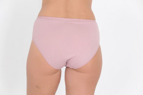 Dantel Detaylı Günlük Kadın Külot Gül Kurusu - Resim 3