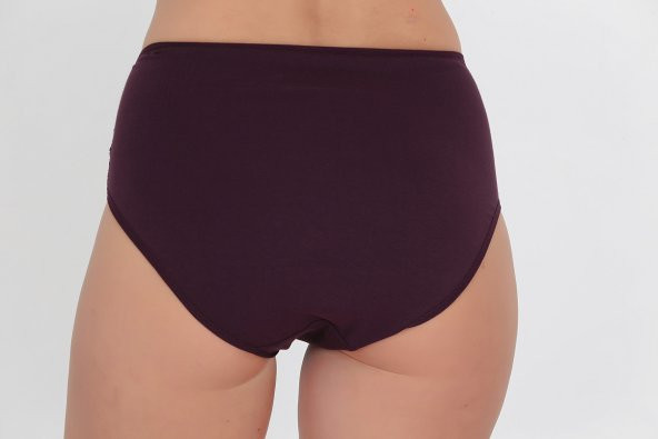 Dantel Detaylı Günlük Kadın Külot Lila - Resim 3