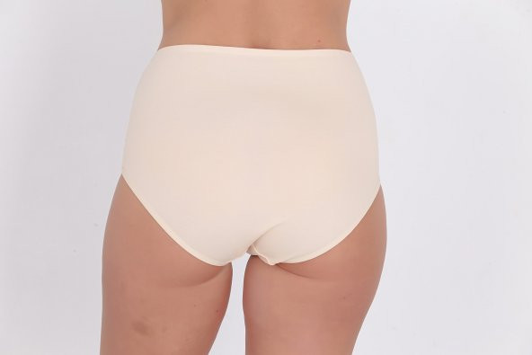 Dantel ve Fiyonk Detaylı Kadın Günlük Külot Ten - Resim 3