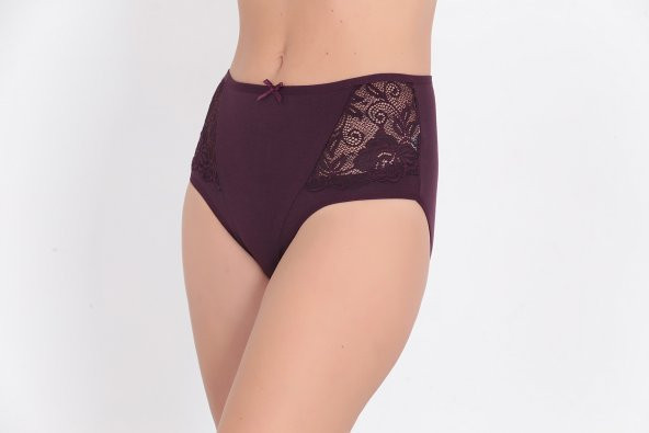 Dantel ve Fiyonk Detaylı Kadın Günlük Külot Lila ürün görseli