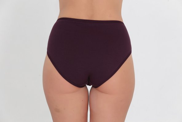 Dantel Detaylı Günlük Kadın Külot Lila - Resim 3