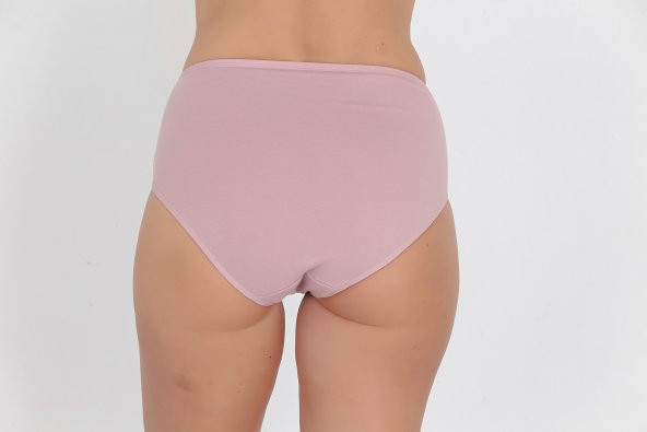 Ön Kısmı Desenli Kadın Günlük Külot Gül Kurusu - Resim 3