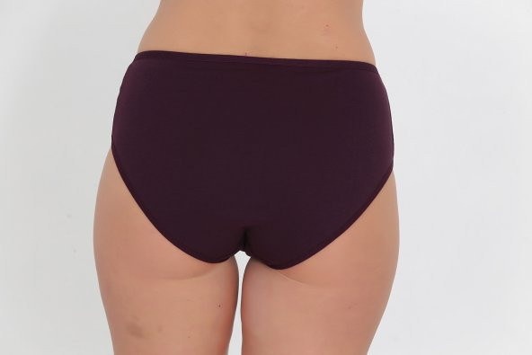 Dantel Detaylı Günlük Kadın Külot Lila - Resim 3