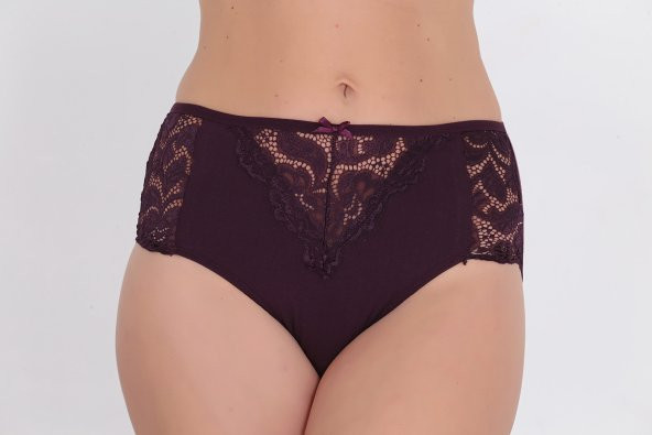 Dantel Detaylı Günlük Kadın Külot Lila - Resim 2