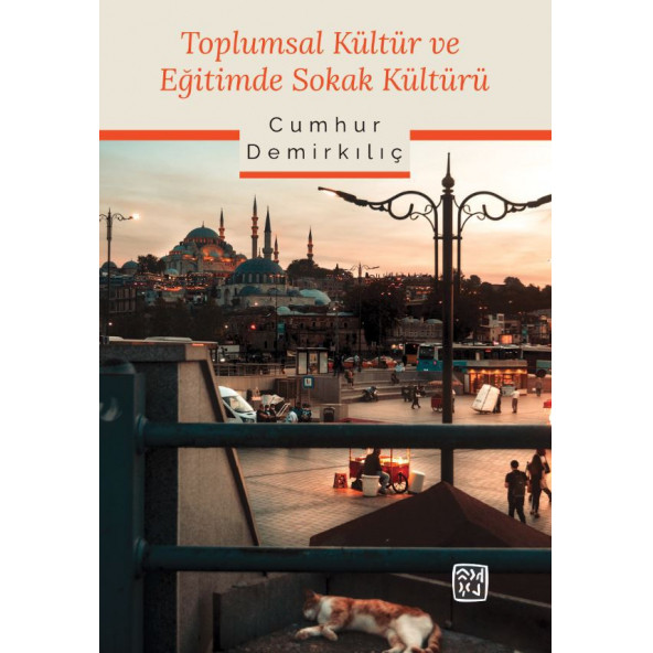 Toplumsal Kültür ve Eğitimde Sokak Kültürü