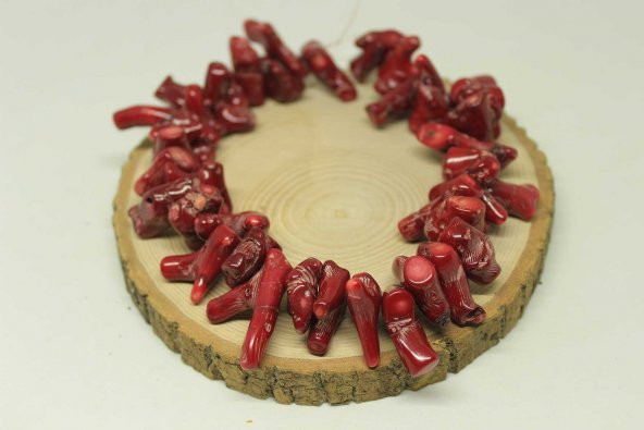 Mercan Şekilsiz Parçalar/adet (Boyalıdır) - Resim 3