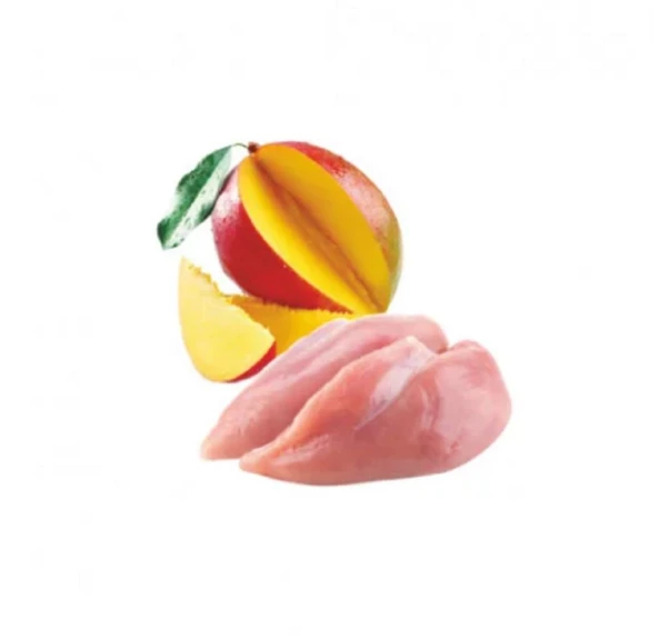 Natura Tavuk Fileto&Mango, Jöle Pirinçli Yavru Kedi Konservesi 70 Gr - Resim 3