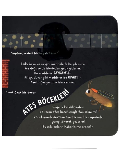 Çocuk Üniversitesi Fizik Set 3 Kitap Sincap Kitap - Resim 4