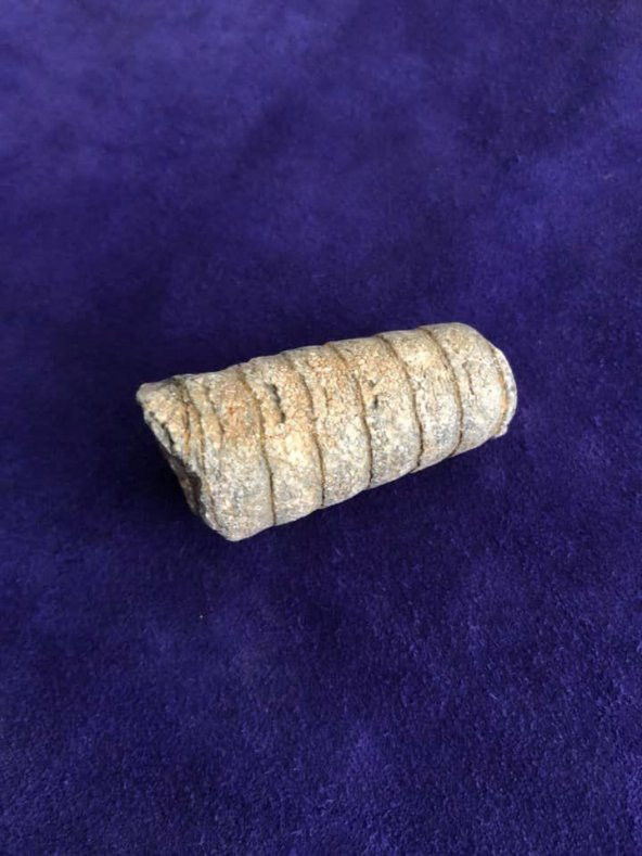 Kafadanbacaklı Baculites Fosil 45 Gram - 2