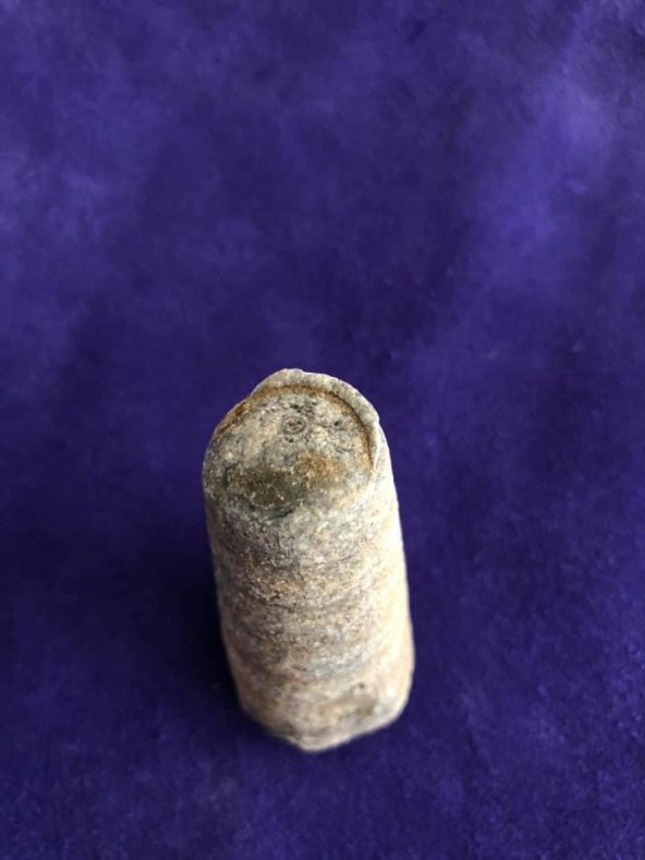Kafadanbacaklı Baculites Fosil 45 Gram - 3