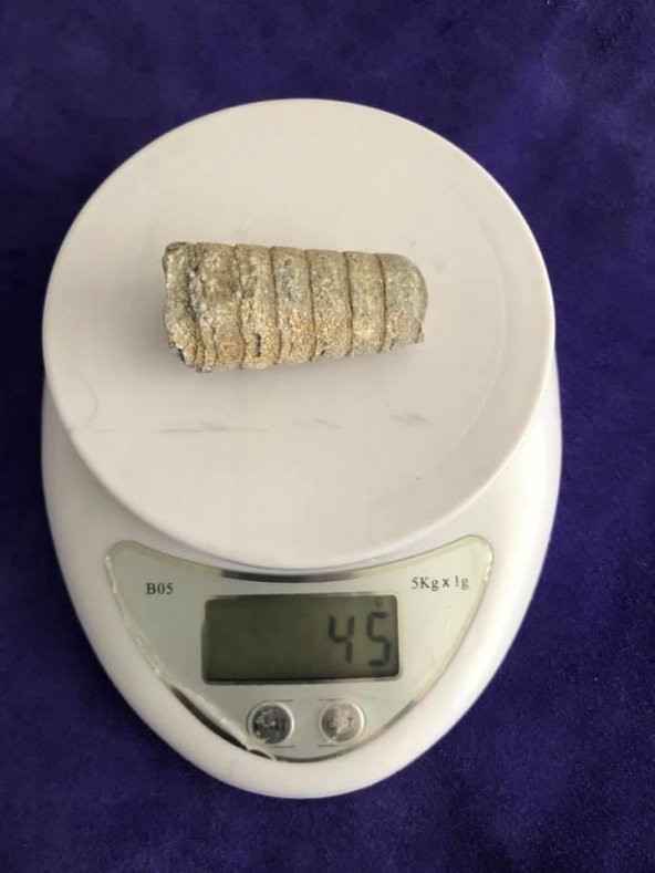 Kafadanbacaklı Baculites Fosil 45 Gram - 6