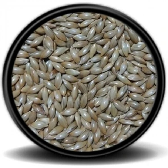 Sade Kanarya Yemi (Aspur) 1kg