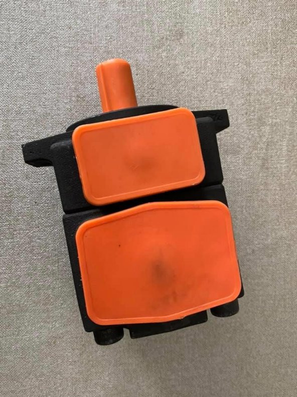 PV2R1-23F-1R Paletli Pompa 21Mpa - Kanatlı Hidrolik Yağ Pompası - 5