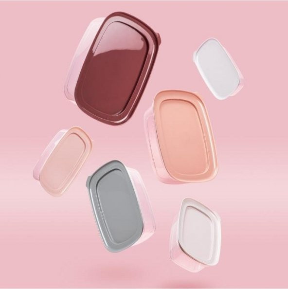 Tantitoni 6lı Pembe-Gri Çok Renkli Plastik Saklama Kabı Seti - 3