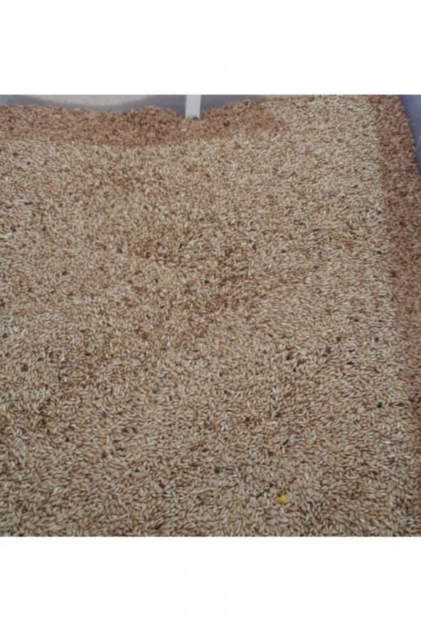 1 Kg Sade Aspur Kuş Yemi - Muhabbet Kuşu - Papağan - Kanarya -saka - Serçe - Güvercin - Kumru - Yem - 2