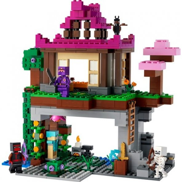 Orjinal Lego Minecraft Eğitim Alanı 21183 - 2