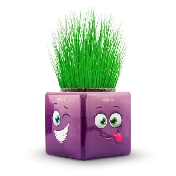 5li Karışık 3 Tarafı Emojili Figürlü Küp Çim Adamlar Okul Ve Okul Öncesi Hediyelik Çim Adam - 6