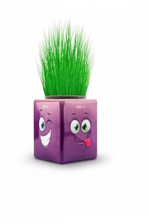 10lu Karışık 3 Tarafı Emojili Figürlü Küp Çim Adamlar Okul Ve Okul Öncesi Hediyelik Çim Adam - 2