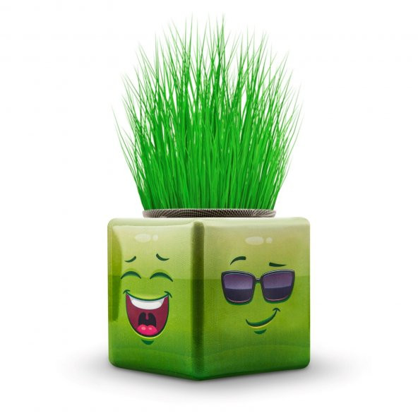 12li Karışık 3 Tarafı Emojili Figürlü Küp Çim Adamlar Okul Ve Okul Öncesi Hediyelik Çim Adam - 3