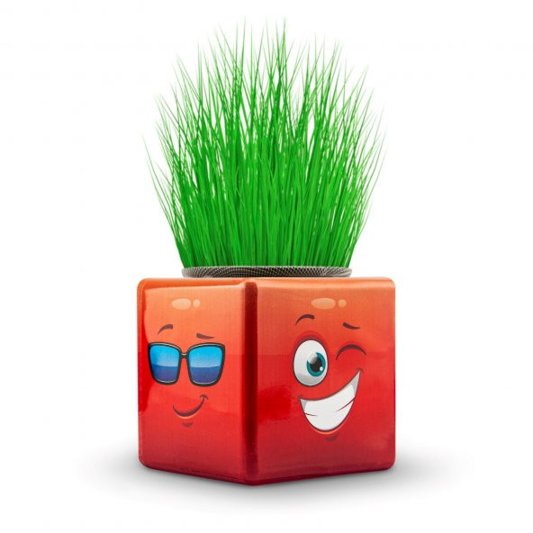 13li Karışık 3 Tarafı Emojili Figürlü Küp Çim Adamlar Okul Ve Okul Öncesi Hediyelik Çim Adam - 3