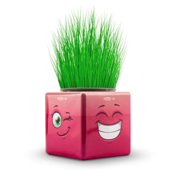 14 lü Karışık 3 Tarafı Emojili Figürlü Küp Çim Adamlar Okul Ve Okul Öncesi Hediyelik Çim Adam - 5