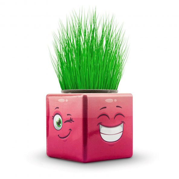 15 li Karışık 3 Tarafı Emojili Figürlü Küp Çim Adamlar Okul Ve Okul Öncesi Hediyelik Çim Adam - 4