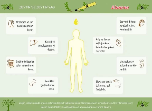 Antalya Naturel Zeytinyağı 1 Lt Teneke - 2