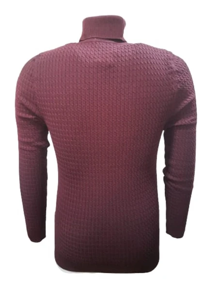 Ce-Ce 3199 Erkek Basic Tam Balıkçı Yaka Boğazlı Kazak - Resim 2