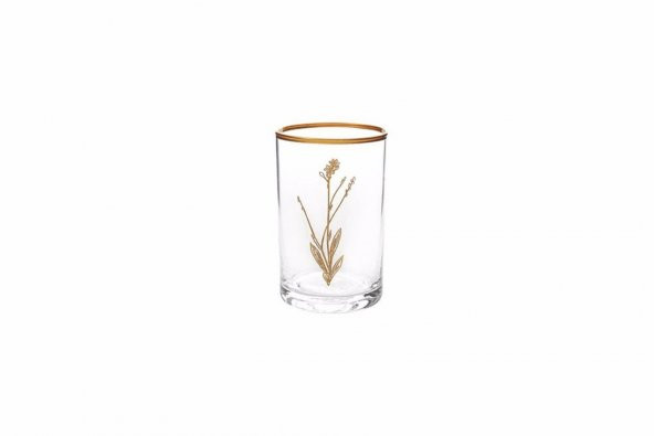 Porland Botanical Mini 3lü Bardak Takımı 100cc - 4
