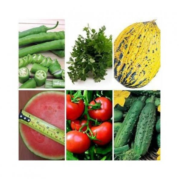 ALTI ÇEŞİT EKO TOHUM PAKETİ ürün görseli 1