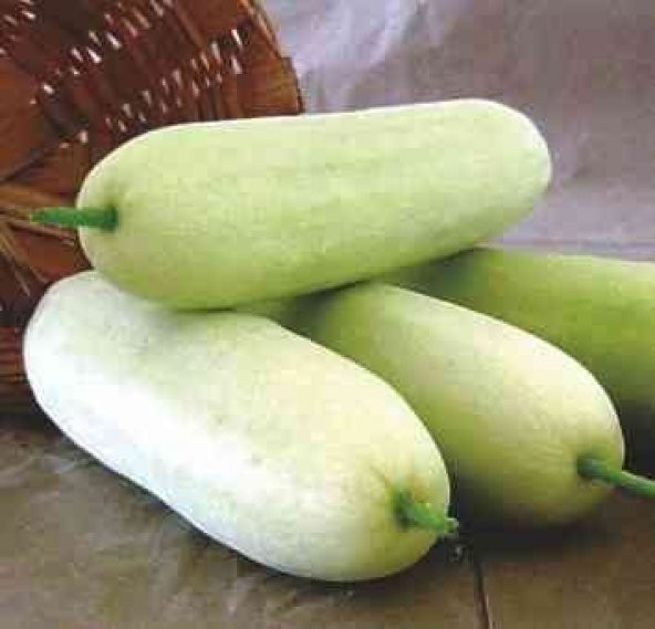 BEYAZ TAYLAND SALATALIĞI TOHUMU