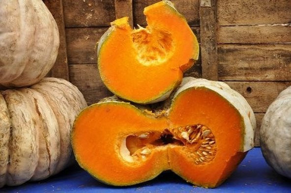 BAL KABAK TOHUMU - 2