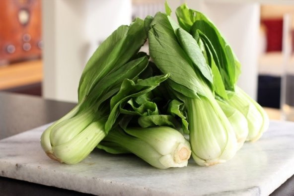 BABY PAK CHOI - ÇİN LAHANASI TOHUMU ürün görseli 1