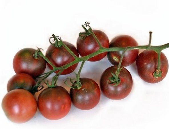 BLACK CHERRY TOHUMU - Resim 2