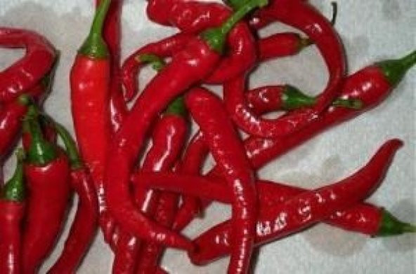 CAYENNE BİBERİ TOHUMU* (ÇOK ACI) - 2