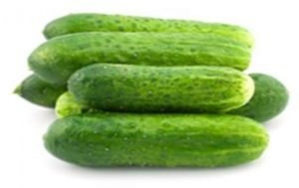 CÜCE TURŞULUK SALATALIK ürün görseli 1