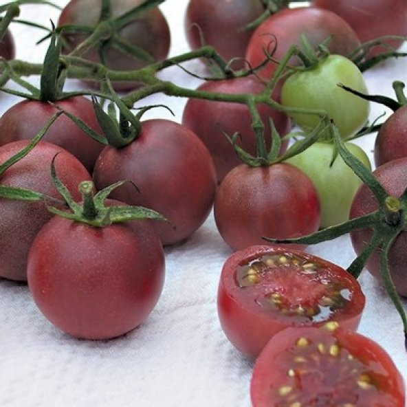 ÇİKOLATA CHERRY DOMATES TOHUMU ürün görseli 1