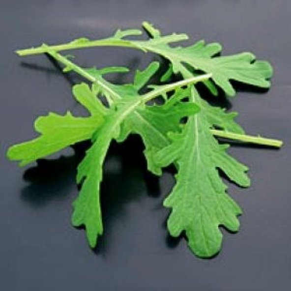 Dantel Yapraklı  Hardal Otu Tohumu - Resim 2