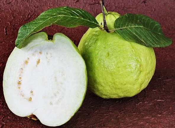 DEV GUAVA (GİANT)* 4 TOHUM