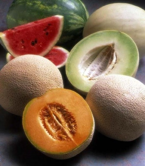 KARIŞIK KAVUN TOHUMU - Resim 2