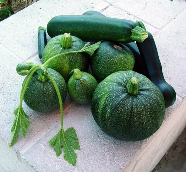 DOLMALIK KABAK TOHUMU ürün görseli 1