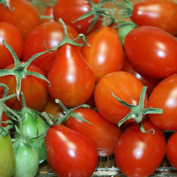 Kırmızı Armut Domates Tohumu