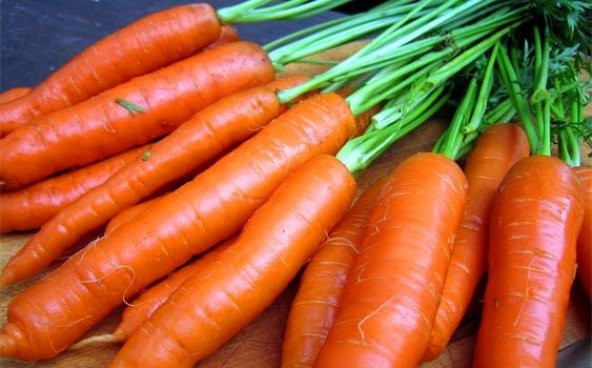 ERKENCİ HAVUÇ TOHUMU - Resim 2