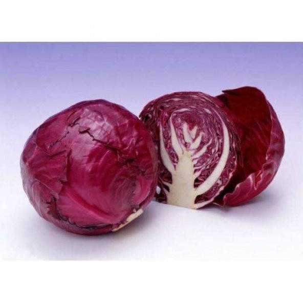 KIRMIZI LAHANA 100+ TOHUM