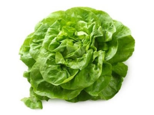 MARUL TOHUMU 500+ TOHUM ürün görseli 1