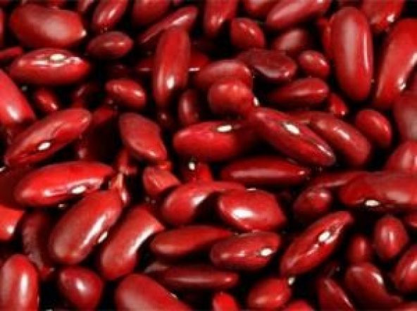 KIRMIZI MEKSİKA FASÜLYESİ TOHUMU - Resim 2