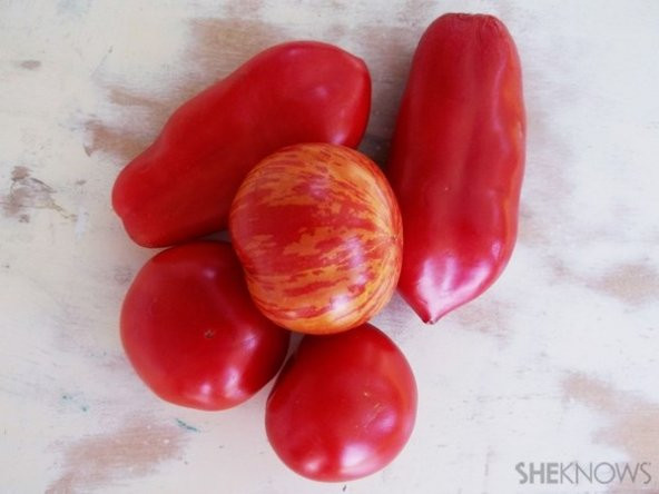 KIRMIZI MUM DOMATESİ * 25+ TOHUM - Resim 2